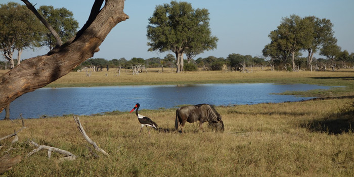 Hwange National Park