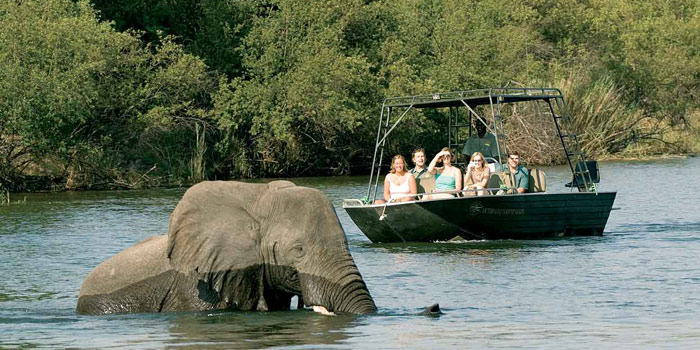 River safari