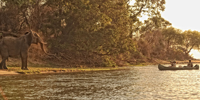 Canoeing on the Zambezi