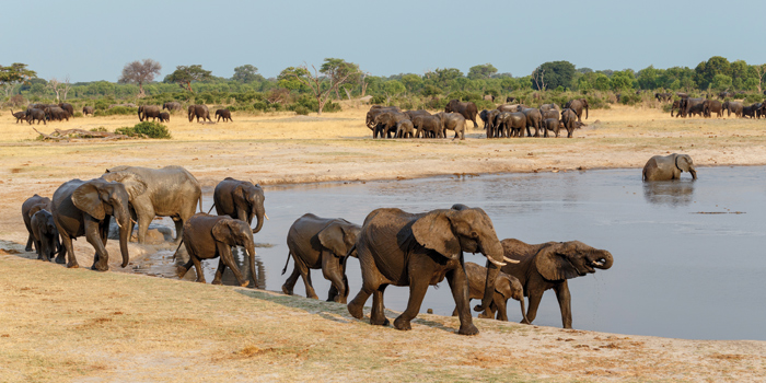 Hwangwe National Park Hwangwe National Park