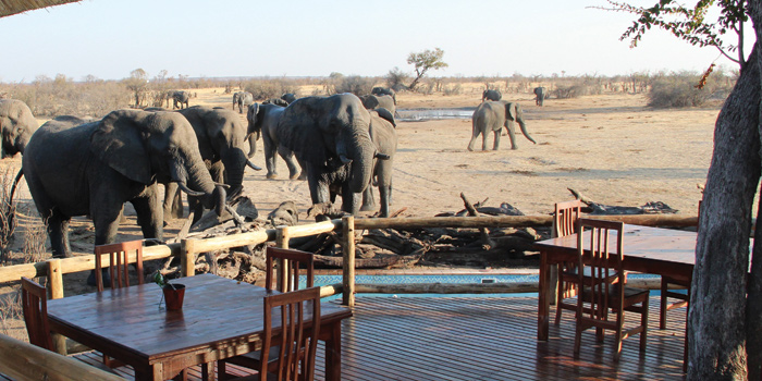 Nehimba Safari Camp Nehimba Safari Camp