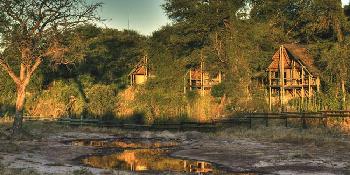 savute-safari-lodge