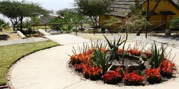 sabana-beach-resort