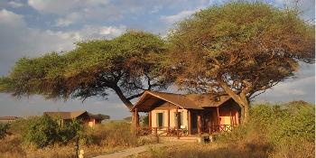 kilima safari camp image 2