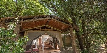 fig tree camp image 2