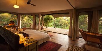 mara plains camp image 5