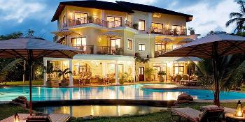 soroi blue, diani image 3