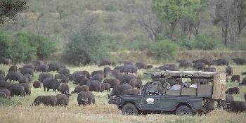 siana springs tented camp - maasai mara image 0