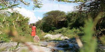 mara-simba-lodge