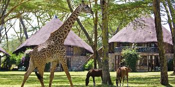 lake-naivasha-sopa-resort