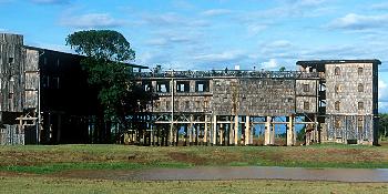 treetops image 0