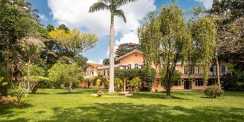 virgin-collection-escape