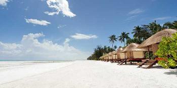 melia zanzibar image 0