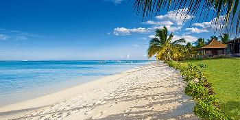 lux* le morne resort image 2
