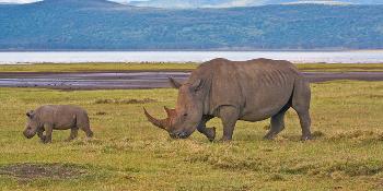 kenya-and-tanzania
