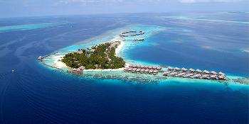 coco bodu hithi image 0