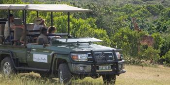 mantis founders lodge image 3