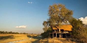 lion camp image 4