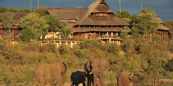 victoria falls safari lodge image 0