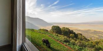TZNGOM0302