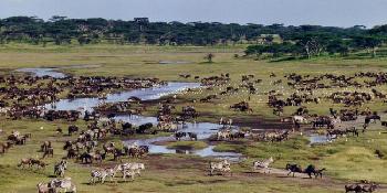 ndutu-safari-lodge