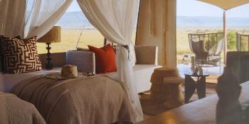 envi sisini serengeti image 0