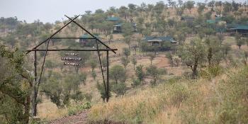 ole-serai-luxury-camp-seronera-central-serengeti
