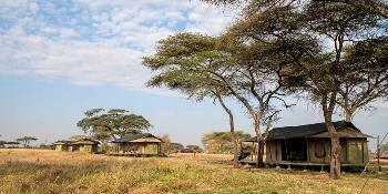 ole-serai-luxury-camp-turner-springs-central-serengeti