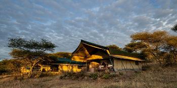 woodlands camp, serengeti image 0