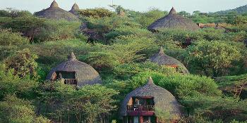 serengeti-serena-safari-lodge