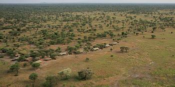 little chem chem image 0