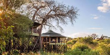 tarangire kuro treetops lodge image 1