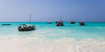 sandies baobab beach zanzibar image 0