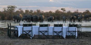 elephant's eye, hwange image 0