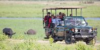 Chobe Game Drive Chobe Game Drive