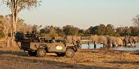 Game drive