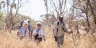 Bush walk