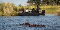 Wildlife viewing