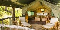 Guest tent