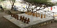 Giant chess