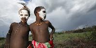 Arbore boys