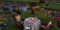 Romantic Dining