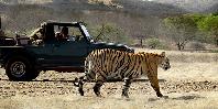 Ranthambore Park