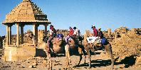 Camel ride