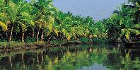 Backwaters Backwaters