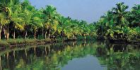 Backwaters
