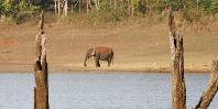 Lake Periyar