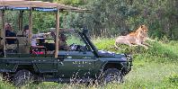 Game drive