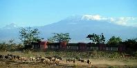 Amboseli Serena Lodge Amboseli Serena Lodge
