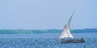 Dhow on the sea